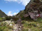 56 Seguo il sent. 217 che sale in vetta alla cima nord dei Tre Pizzi (2167 m)